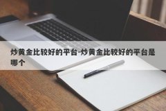 炒黄金比较好的平台-炒黄金比较好的平台是哪个