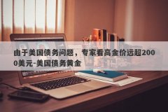 由于美国债务问题，专家看高金价远超2000美元-美国债务黄金